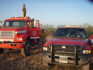 cafs55079.jpg